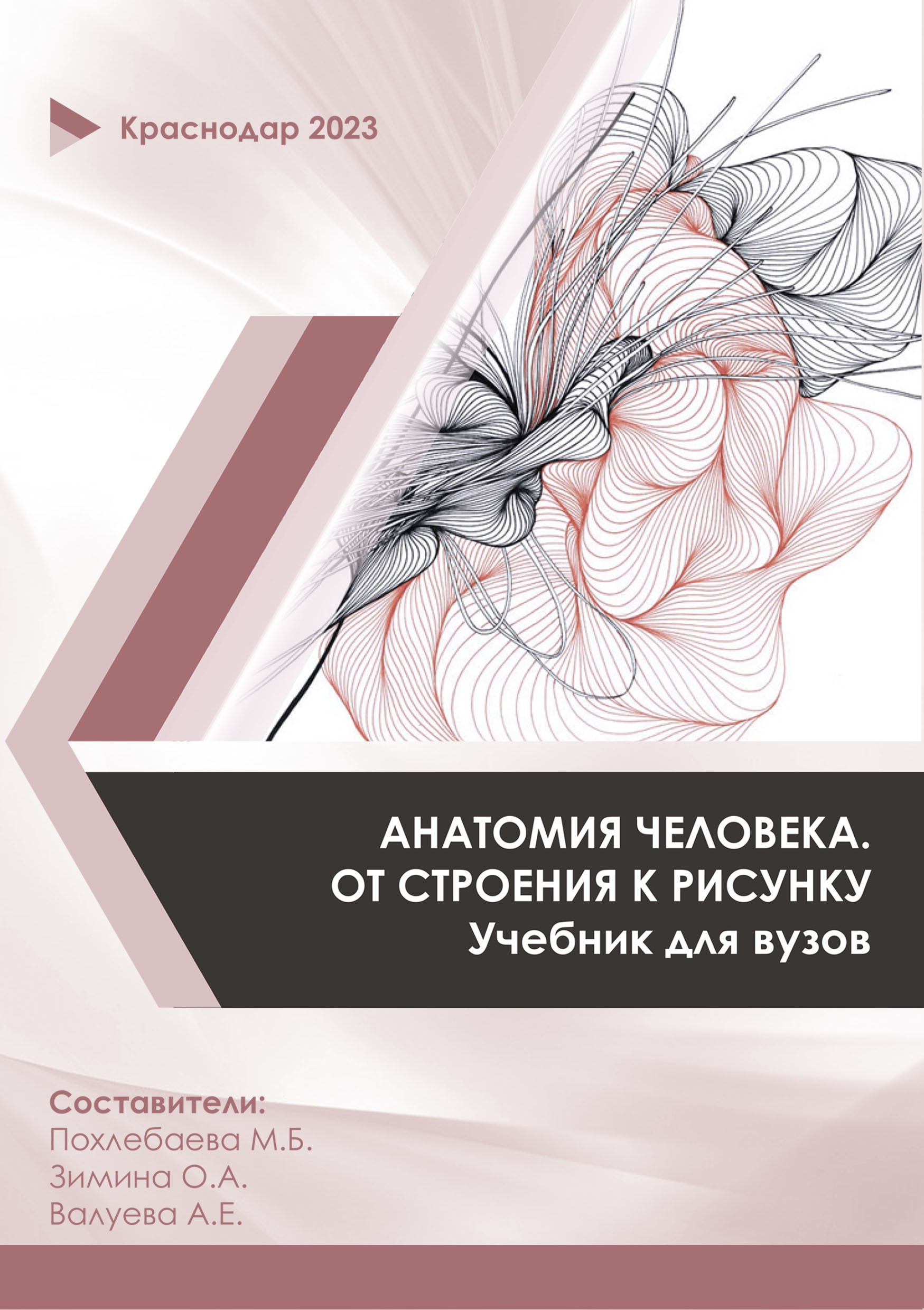 Пластическая анатомия человека - от теории к практике. М.Б. Похлебаева, О.А. Зимина, А.Е. Валуева
